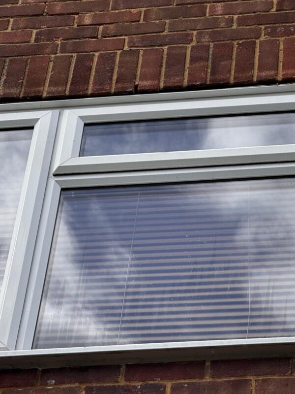 WhatsApp Image 2024-06-18 at 14.49.55 (3) WhatsApp Image 2024-06-18 at 14.49.55 (3)