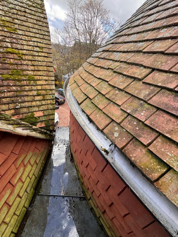 WhatsApp Image 2024-06-18 at 14.52.14 (3) WhatsApp Image 2024-06-18 at 14.52.14 (3)