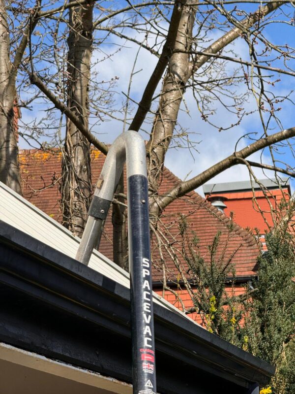 WhatsApp Image 2024-06-18 at 14.52.14 WhatsApp Image 2024-06-18 at 14.52.14