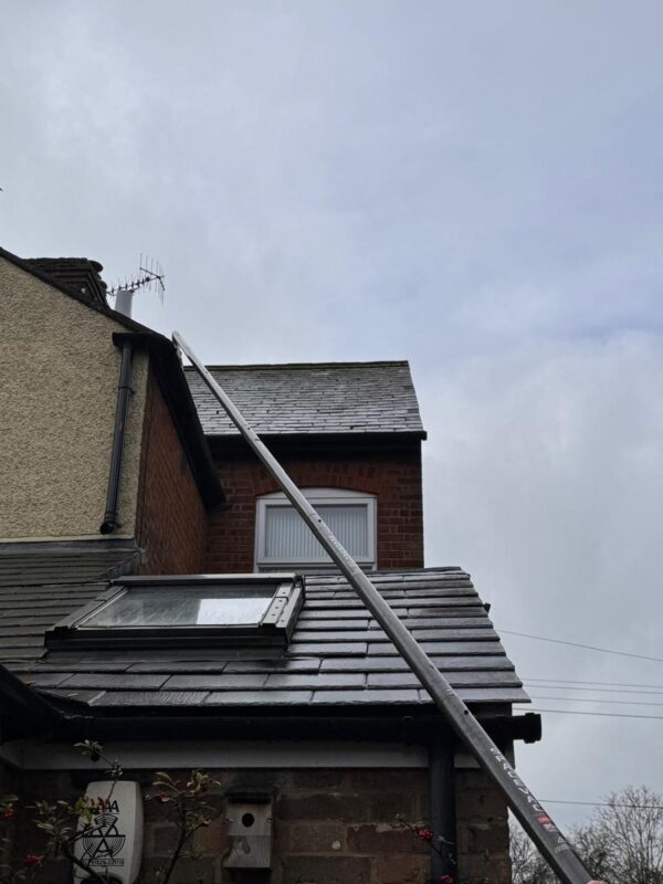 WhatsApp Image 2024-06-18 at 15.01.41 (1) WhatsApp Image 2024-06-18 at 15.01.41 (1)