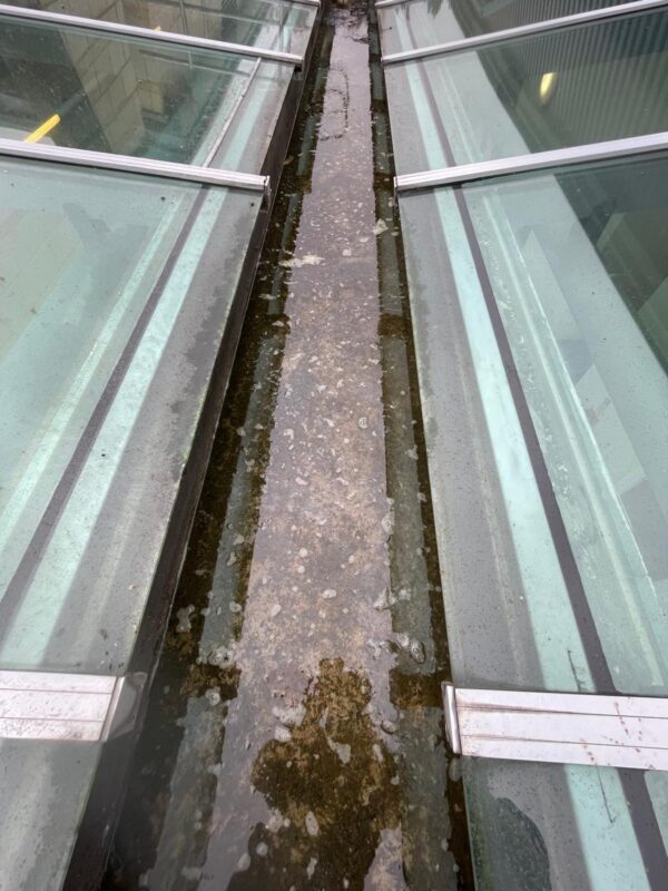 WhatsApp Image 2024-06-18 at 15.07.13 (9) WhatsApp Image 2024-06-18 at 15.07.13 (9)